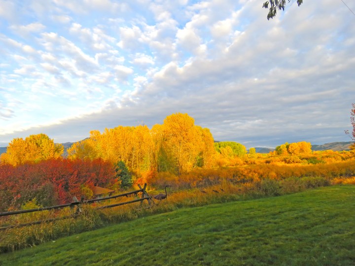  Fall is in the&nbsp;Air