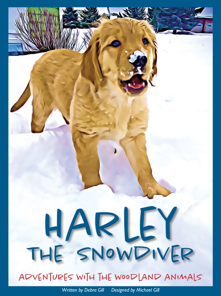 From Dream to&nbsp;Reality